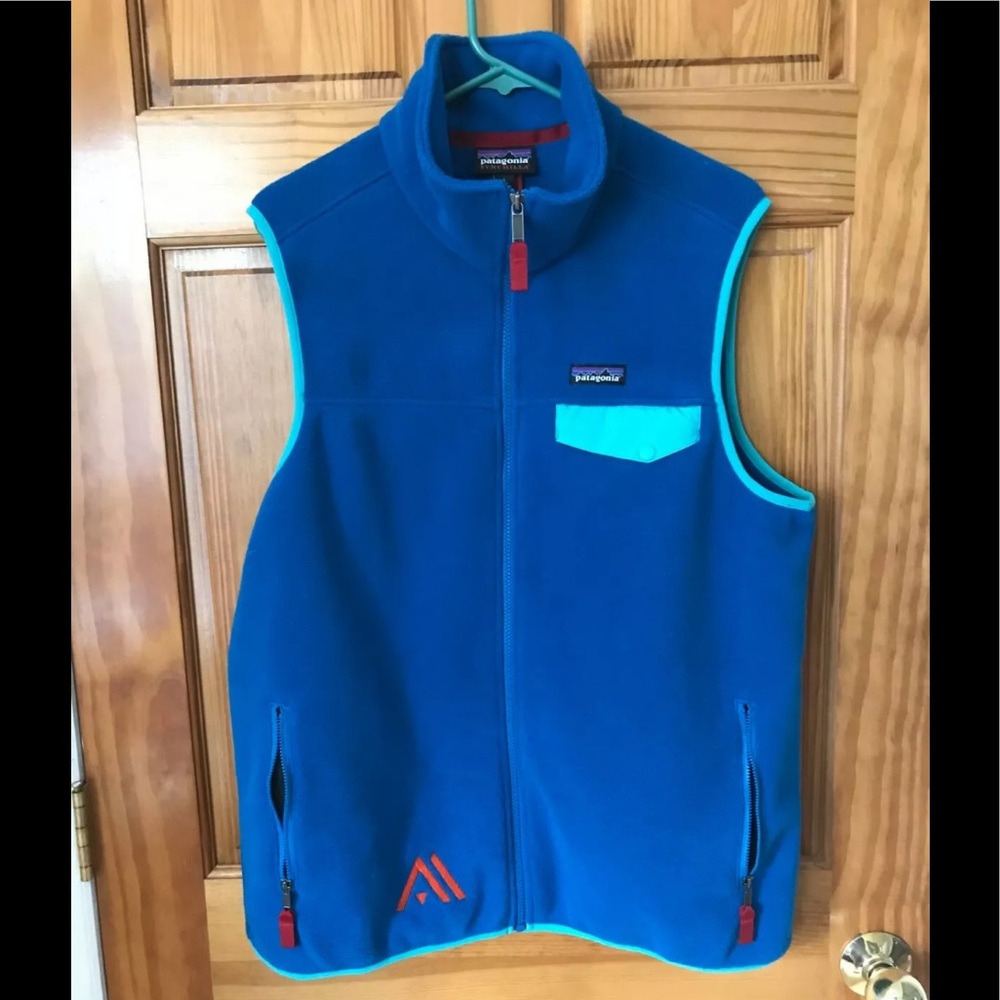 NWT Patagonia Synchilla Vest L